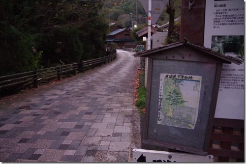 IMGP4236 IMGP4236