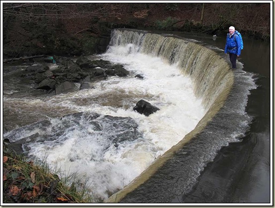 Norman takes a stroll across the weir