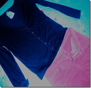 blusa-lisa-e-calça blusa-lisa-e-calça