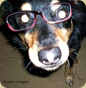 Brisco in glasses