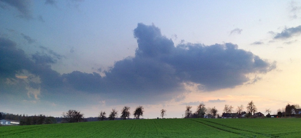 [Foto-03.04.12-19-53-465.jpg]