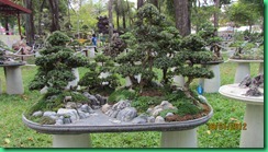 IMG_2077 IMG_2077