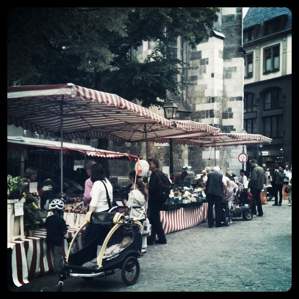 [Aachen-Flower-Market6.jpg]