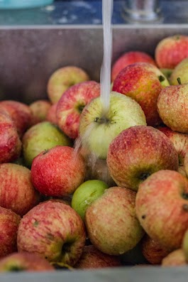 Sommeræbler - Brødrene Bækgaard laver æblemost - Mikkel Bækgaards Madblog.