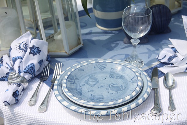 [Nantucket-Blues-0143.jpg]