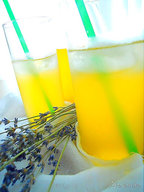 DSCN9462 DSCN9462