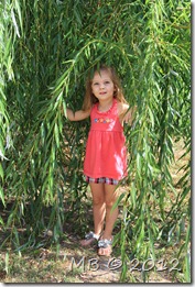 IMG_0301 IMG_0301