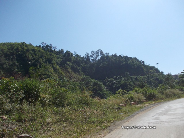 [DSCN19572.jpg]