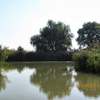 IMG_8016.JPG