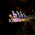 _a162000