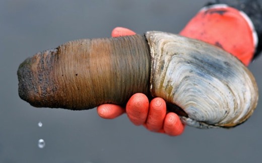 [clip_image010%255B6%255D.jpg]