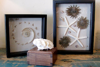 Handcrafted Shadowbox with Shells
$110.00      $175.00
Wooden Box with Coral $125.00