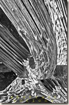 abstract1 abstract1