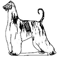afgano