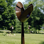 Steel'Unfurling2 copy.jpg
