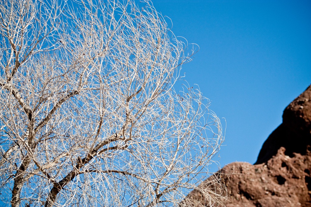 [20111231-IMG_0176%255B9%255D.jpg]