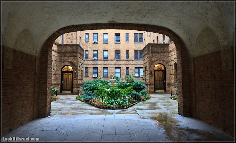 Америка 2.0 / Нью Йорк   Forest Hills (foto america  фото природа дождь и снег new york  20111019 usa ny forest hills 003 9061)