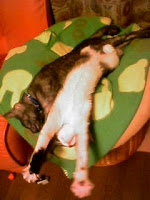 画像 033.jpg