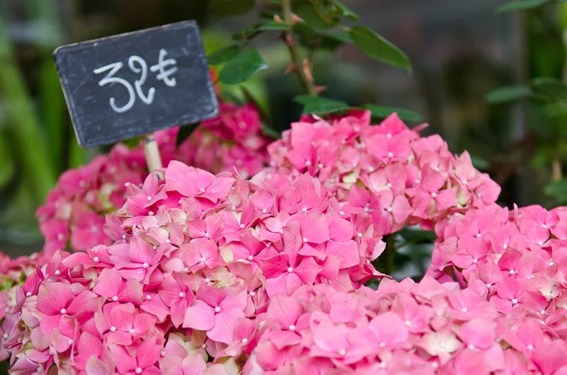 [Annecy%2520Morning%2520Blog-36%255B3%255D.jpg]