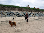 The only people who don't seem to mind the erosion are surfers.  A shorter beach makes greater waves.  Maybe we should all take up surfing until the beach is replenished!