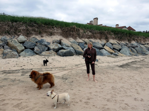 The only people who don't seem to mind the erosion are surfers.  A shorter beach makes greater waves.  Maybe we should all take up surfing until the beach is replenished!