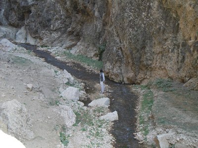 DSCN3943.jpg