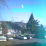 Spring 2004