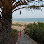 DSC_7142.JPG