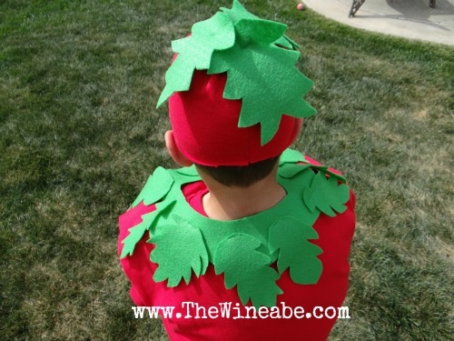 [tomato%2520leaves%2520costume%2520DIY%255B5%255D.jpg]