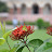 DSC_0396_01.JPG