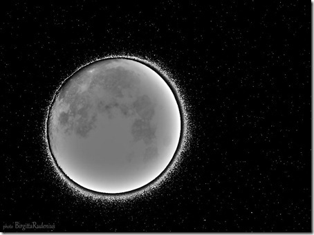 Moonlight bw_20121028_moonlight