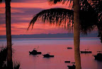 3628130-R1-E021.jpg