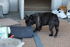 Look, on the porch!  I found some rug padding and tools!  They definitely must be inside.