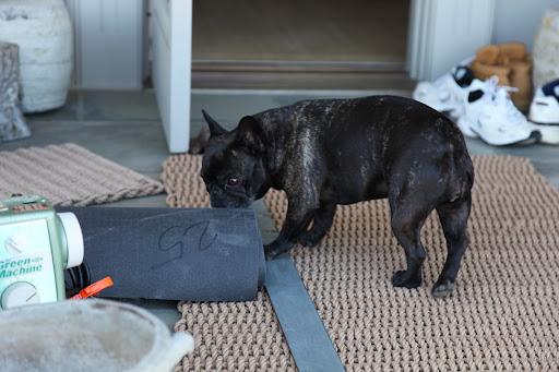Look, on the porch!  I found some rug padding and tools!  They definitely must be inside.