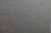 IMG_0623.jpg Photo