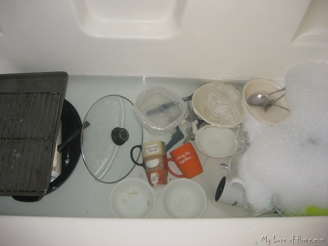 [IMG_10792.jpg]