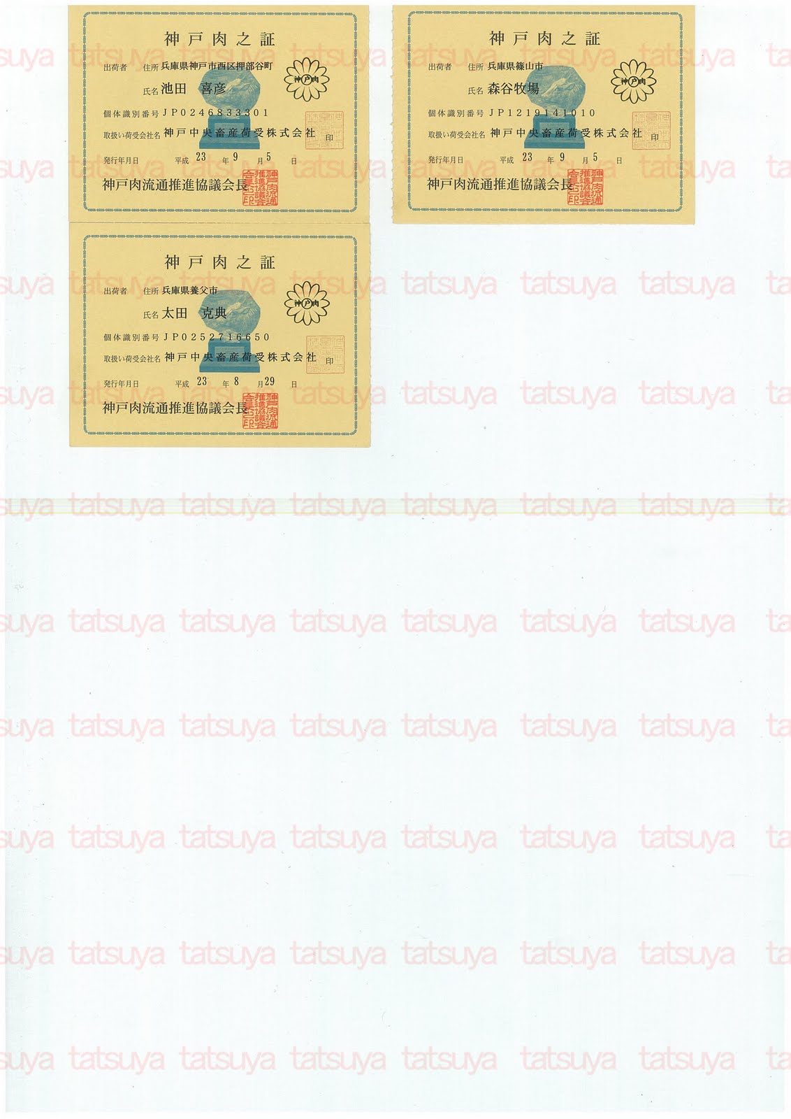 [LOT-11093001-%25232.jpg]