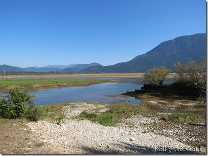 The log bay - September 20, 2012