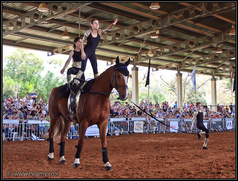 il/Фото: Stallion Show 2011 (20110416 stllion show 021 2049)