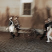 DSC04640 bbb.JPG