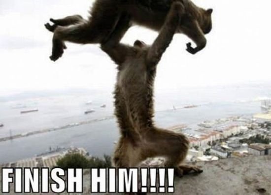 finish lolcat