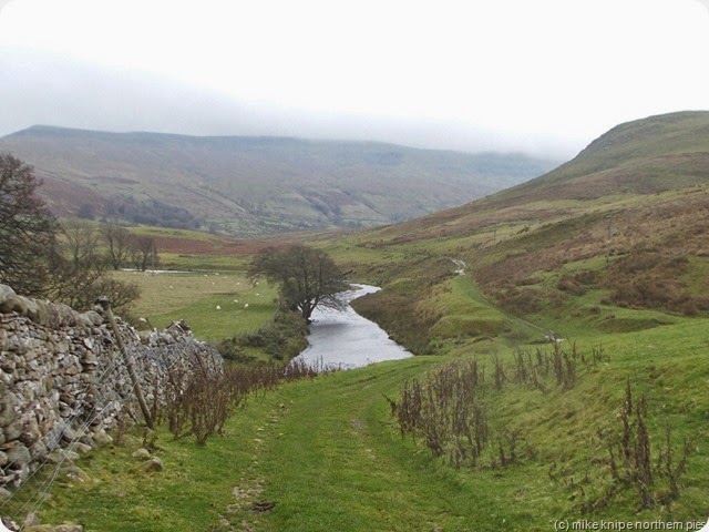 lovely gren trod near lammerside