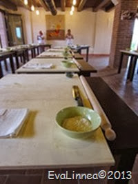 IMG_7941 IMG_7941