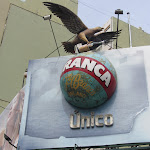 IMG_5794.JPG
