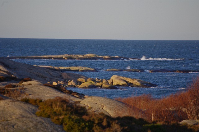 IMGP3813 (640x425)