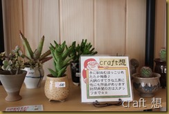 craft想2