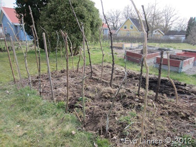 IMG_1041 IMG_1041