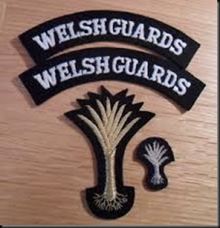 Guardia Galesa