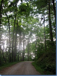 0199 Great Smoky Mountain National Park  - Tennessee - Rich Mountain Road