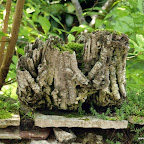 20100825_153_small.JPG